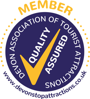 QS 2019 Nunito Outlines Member